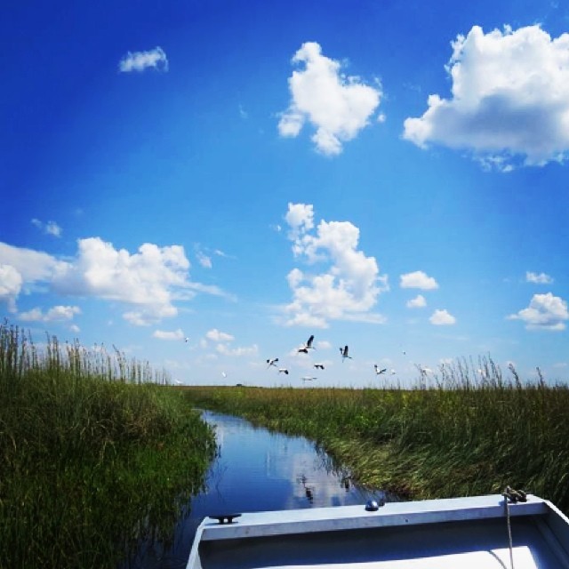 airboat tours